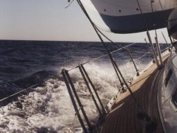 Törn 2000